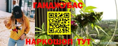 дмт Пенза