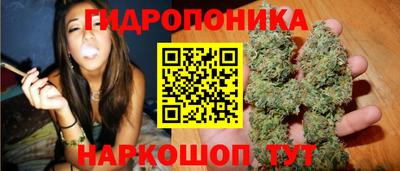 дмт Пенза